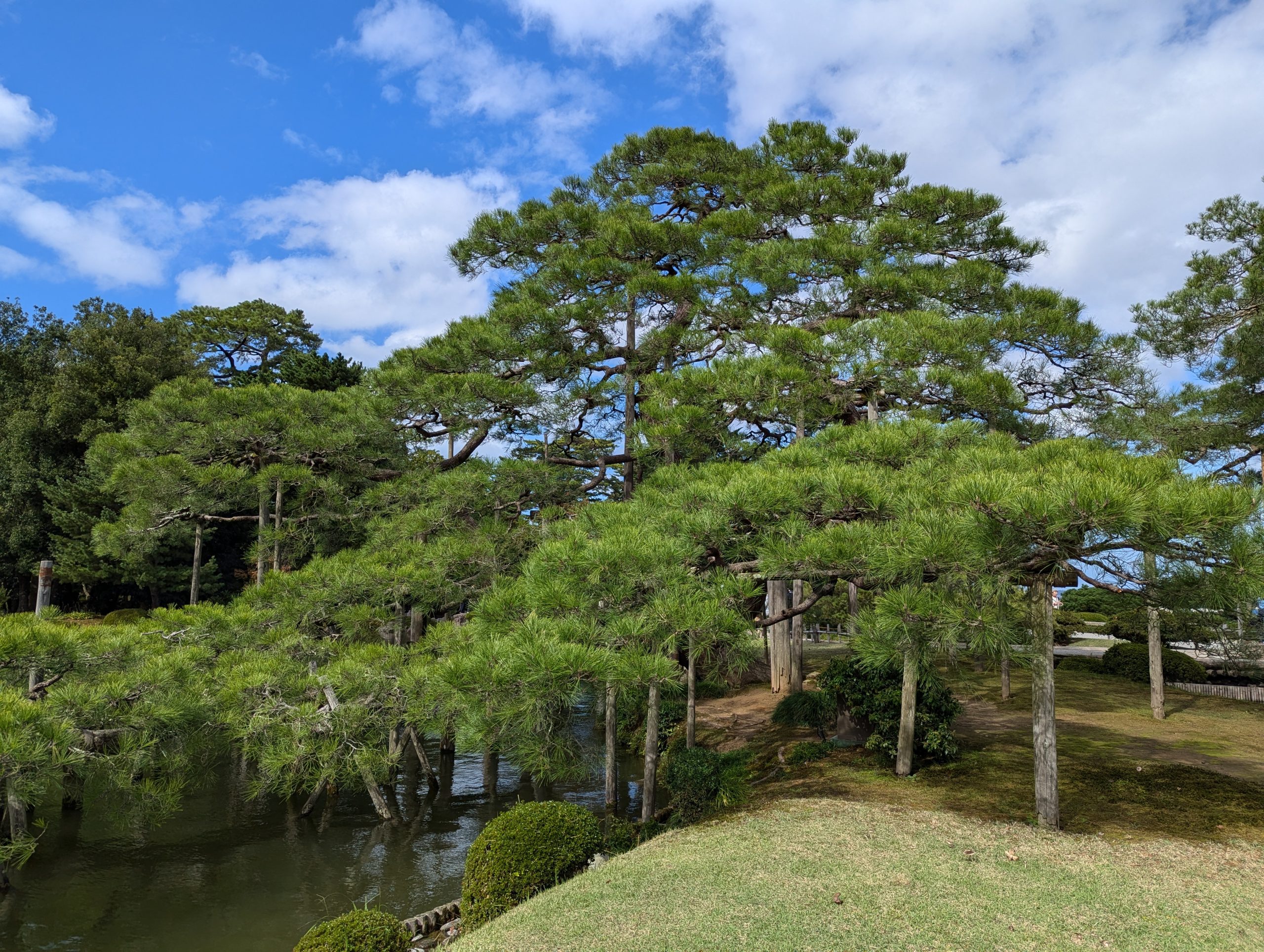 兼六園07